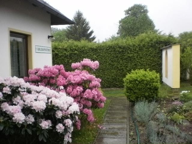 Privat Buk 100 Apartamento Jindřichŭv Hradec Exterior foto